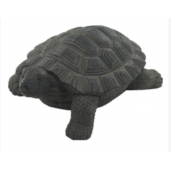 Tortue décorative